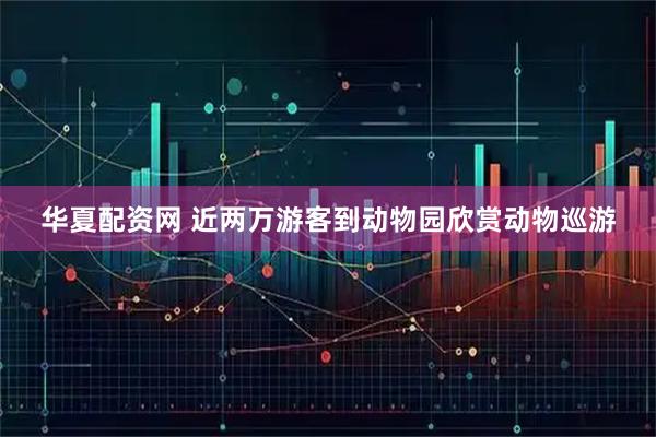 华夏配资网 近两万游客到动物园欣赏动物巡游
