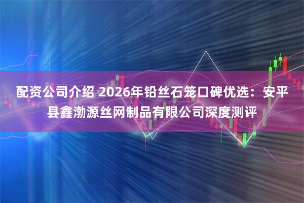 配资公司介绍 2026年铅丝石笼口碑优选：安平县鑫渤源丝网制品有限公司深度测评