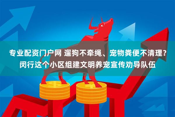 专业配资门户网 遛狗不牵绳、宠物粪便不清理？闵行这个小区组建文明养宠宣传劝导队伍